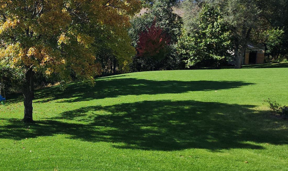 A customer's thick, green lawn in fall